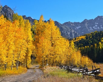 San Juan Mountains Colorado Autumn Landscape Print, Fall Foliage Photo, Golden Aspen Colors, Rustic Art, Sneffels