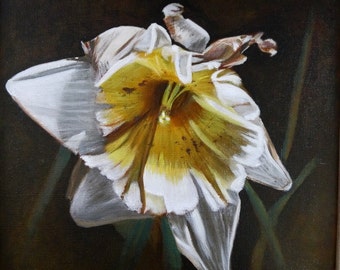 Mid-Life Flower: Daffodil