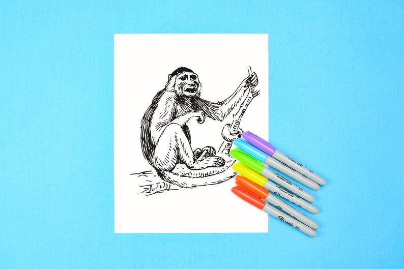 Monkey Capers Coloring Book Gorilla Animal Stress Relief Art - Etsy UK
