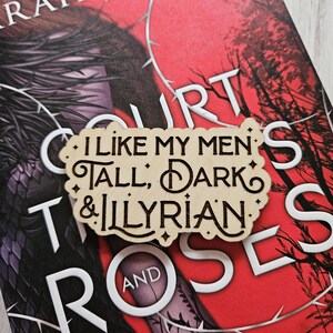 May include: A wooden bookmark with the text "I like my men's tall, dark & Illyrian" on a red and black book cover with the text "A Court of Thorns and Roses".
