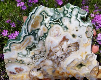 8th Vein Ocean Jasper Slab