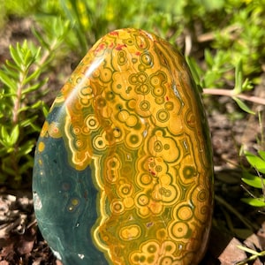 Puede incluir: Una piedra de jaspe oceánico pulida en forma de lágrima, con una superficie lisa y patrones orbiculares distintivos en tonos amarillo mostaza, verde oliva y verde bosque profundo, acentuados por pequeñas manchas rojas brillantes.