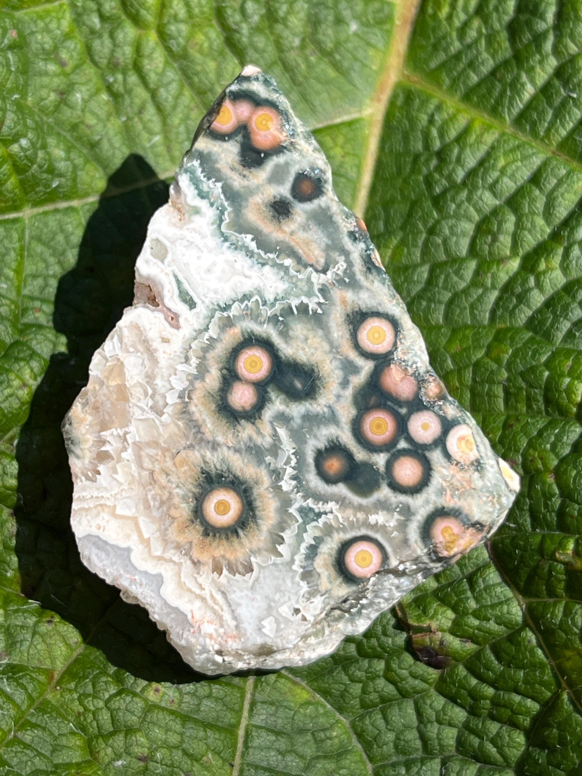 Old Stock Ocean Jasper - Etsy