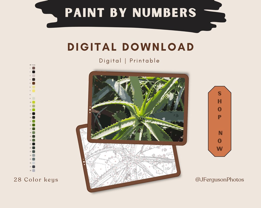 Paint by Numbers Digital Download Kit / Sunlit Aloe Leaf Etsy