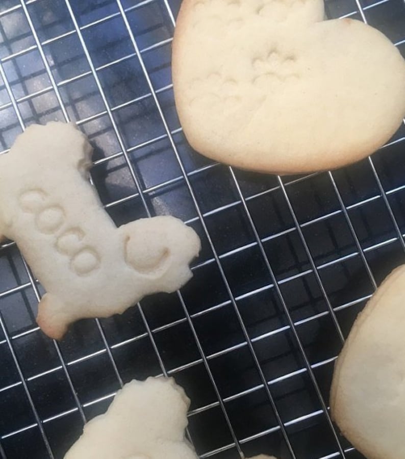 Maltese Cookie Cutter Custom Treat Personalized Pet Lab Puppy Etsy