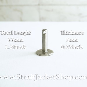 May include: A silver metal pin with a loop at the top and a flat circular base. The pin is 33mm (1.29 inches) long and 7mm (0.27 inches) thick.