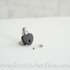 Pin for Padlock - Long and Short Pins image 14