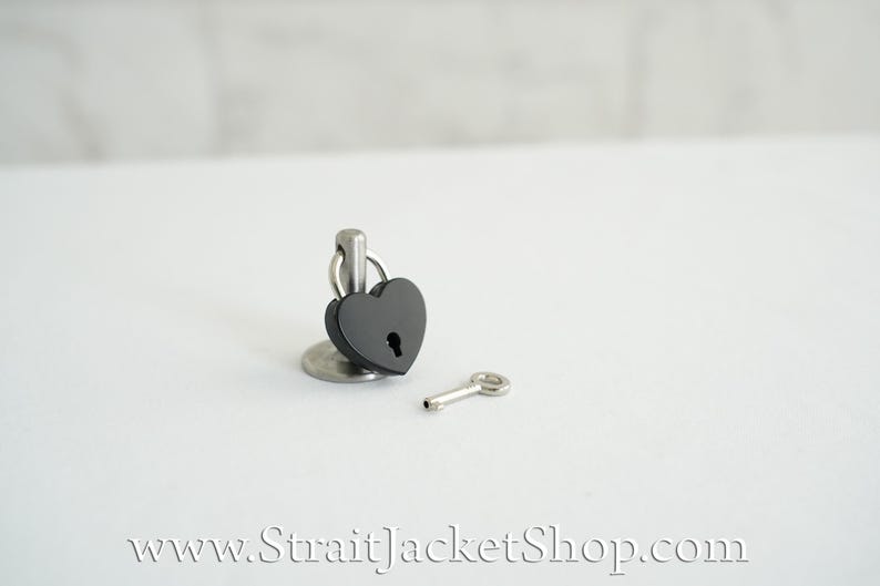 Pin for Padlock - Long and Short Pins image 14