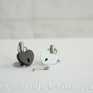 Pin for Padlock - Long and Short Pins image 15