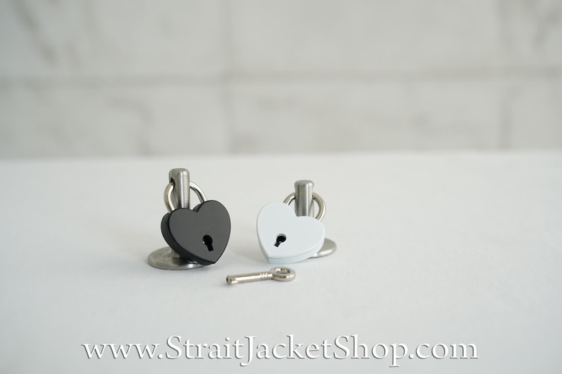 Pin for Padlock - Long and Short Pins image 15