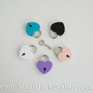 Pin for Padlock - Long and Short Pins image 16