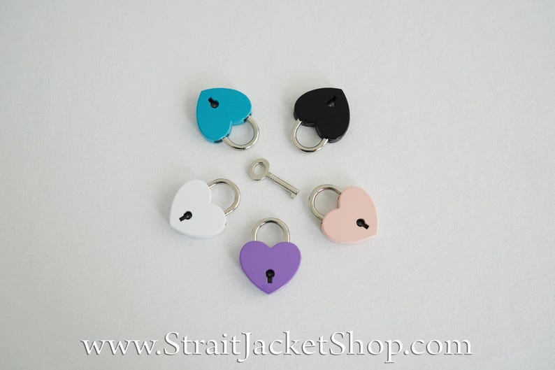 Pin for Padlock - Long and Short Pins image 16