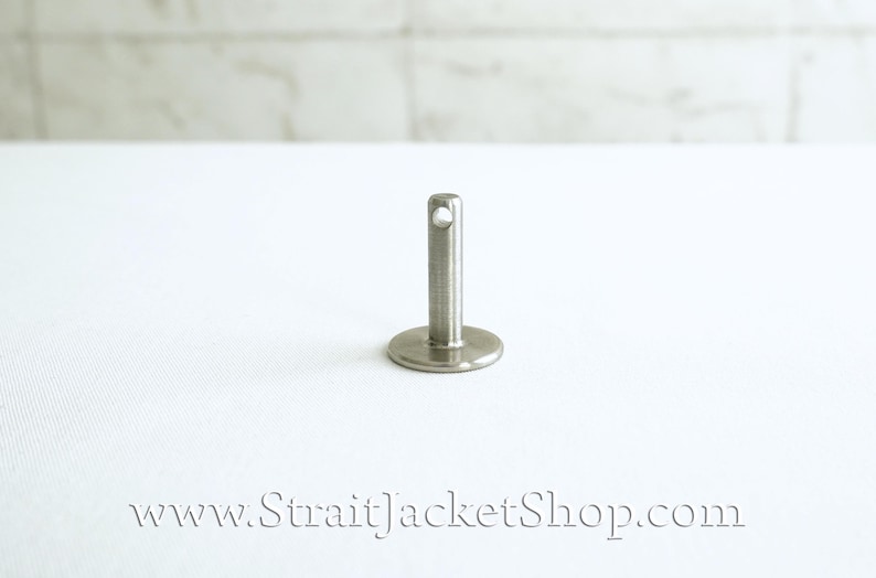 May include: A silver metal pin with a round base and a small loop at the top.
