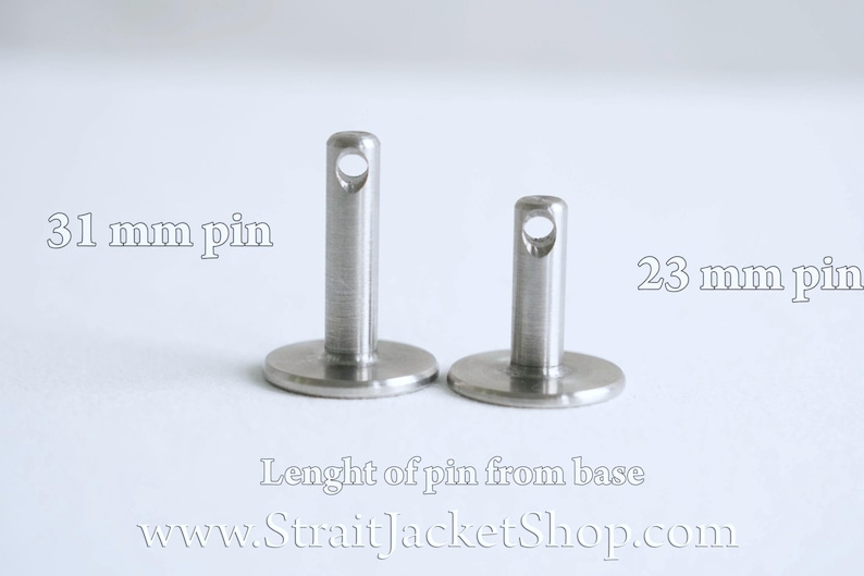 May include: Two silver metal pins with a loop at the top. The pin on the left is 31 mm long and the pin on the right is 23 mm long. The length of the pin is measured from the base.
