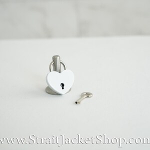 Pin for Padlock - Long and Short Pins image 13