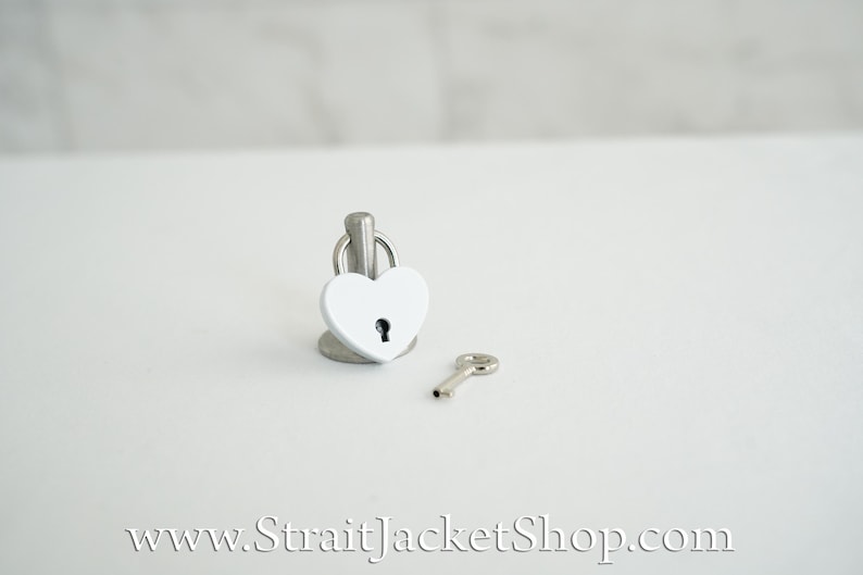 Pin for Padlock - Long and Short Pins image 13