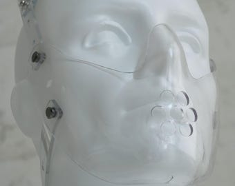 Asylum Transparent Face Muzzle - Hannibal Lecter Mask / anti-bite muzzle / Institutional / Insane Asylum / Psych Ward / Silence of the Lambs