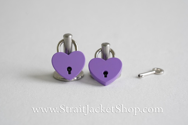 Pin for Padlock - Long and Short Pins image 12