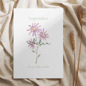 September Aster Birth Month Digital Printable