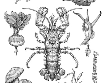 100 Designs by Crap Panther