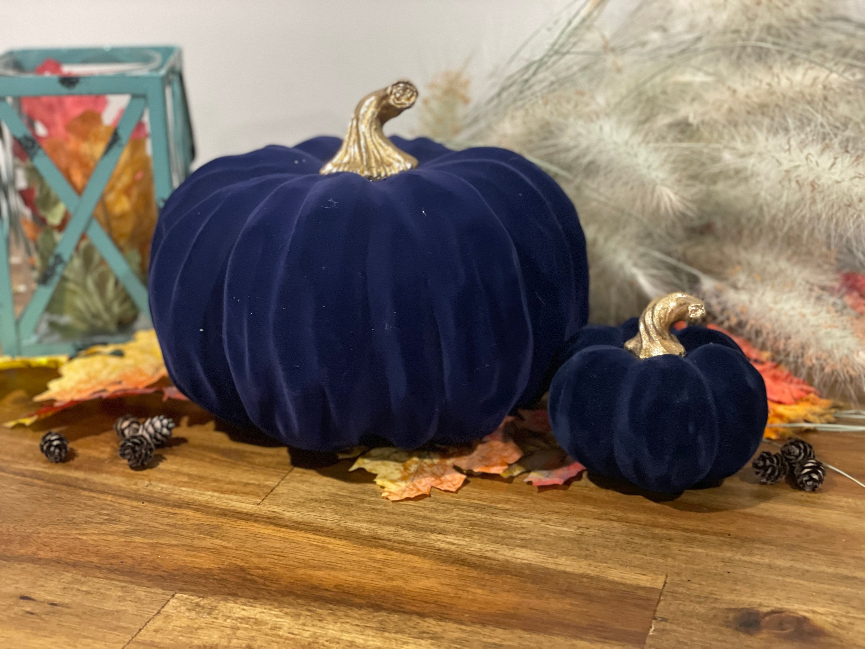 Navy Pumpkin