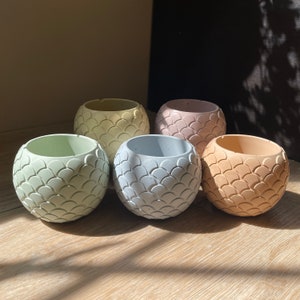 May include: Five small, round planters in pastel colors: light green, cream, pink, light blue, and peach. Each planter has a textured, scale-like pattern on the exterior. The planters are arranged on a light-colored wooden surface.