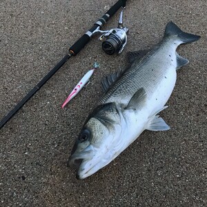 Needlefish Lure Redhead 15cm 6inch image 7