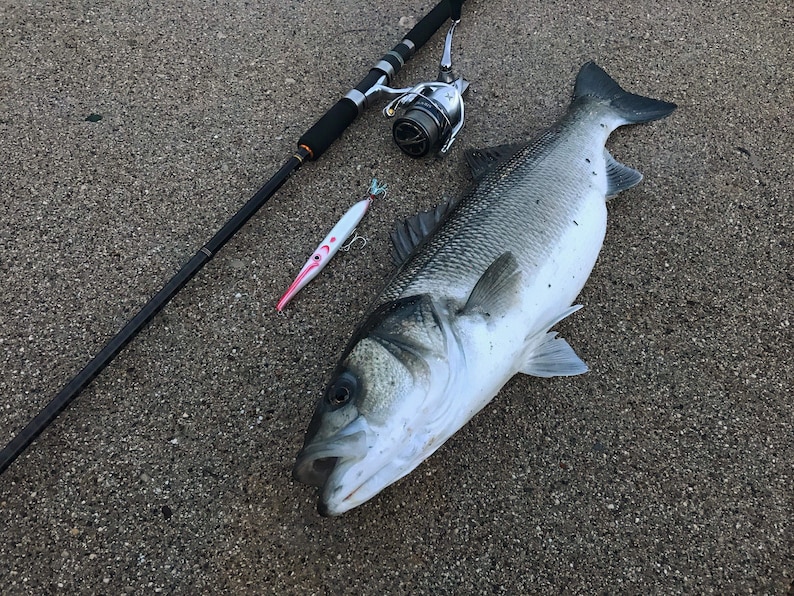 Needlefish Lure Redhead 15cm 6inch image 7