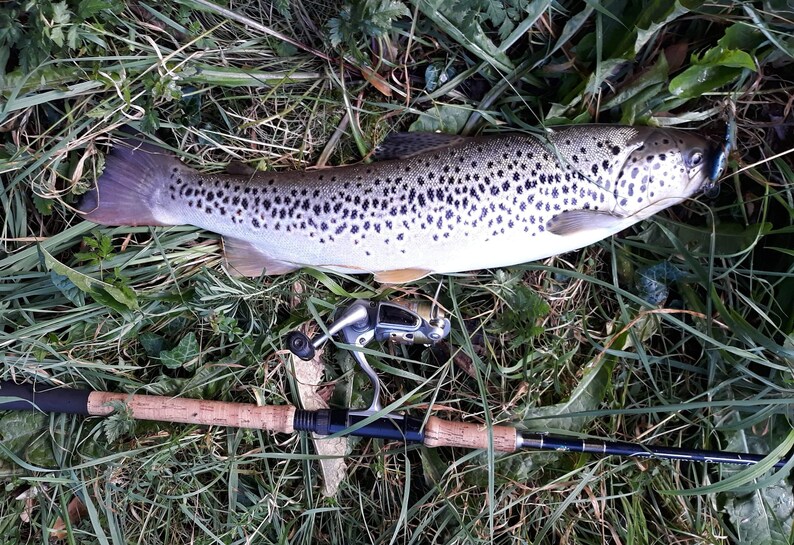 Custom Fishing Lure Brown Trout 4.5cm 2 Inches Etsy