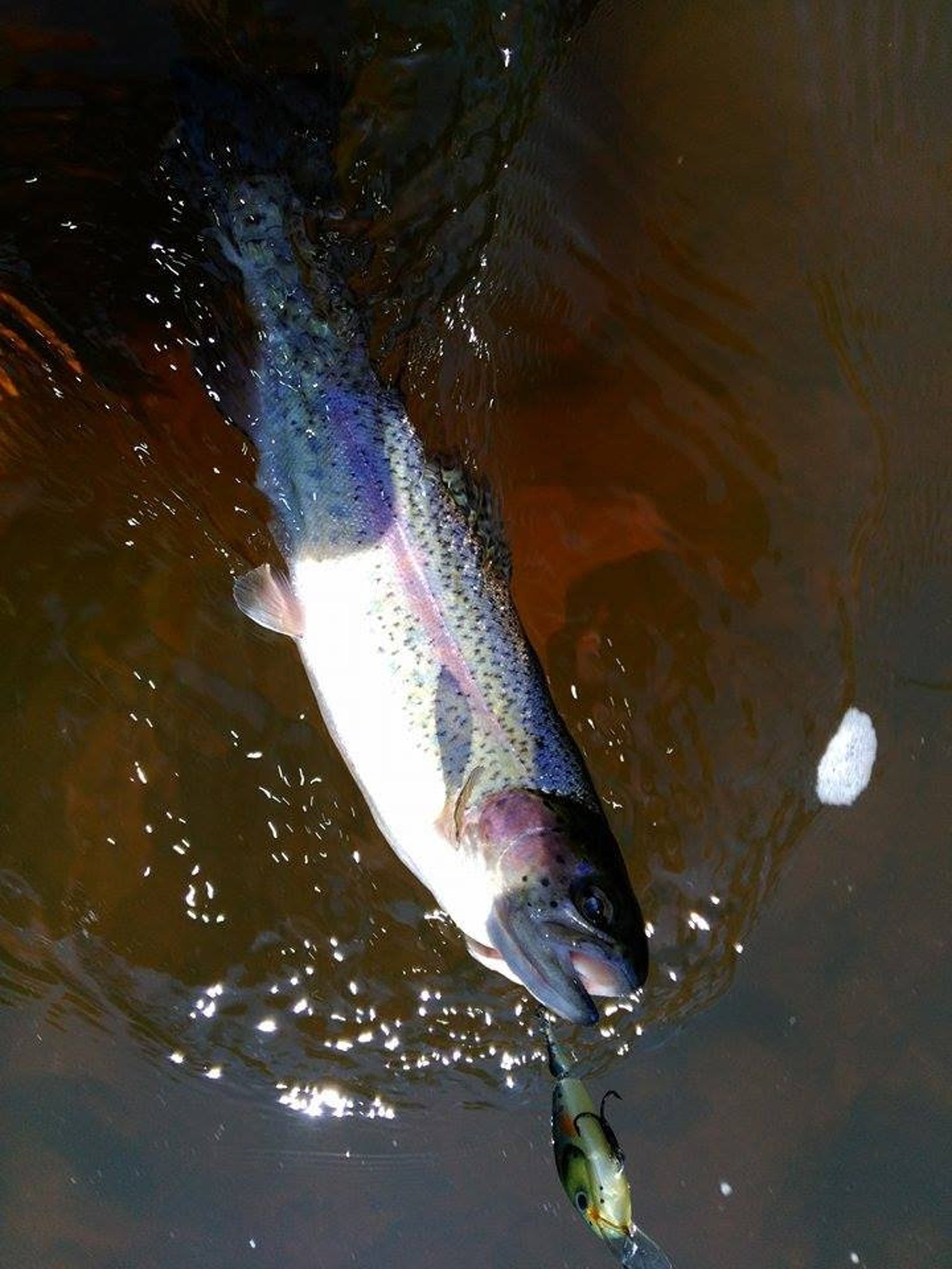 Custom Fishing Lure Brown Trout 4.5cm 2 Inches Etsy