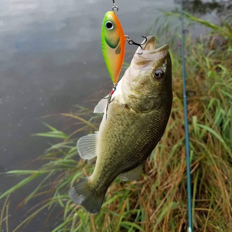 Handmade Balsa Surface Fishing Lure 6cm Etsy