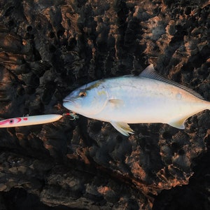 Needlefish Lure Redhead 15cm 6inch image 5