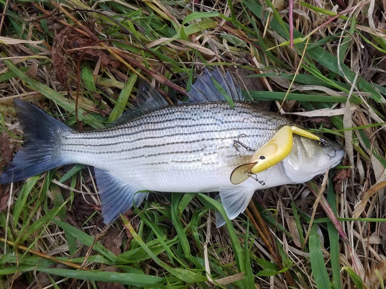 Custom Fishing Lure Handmade Jointed Wooden Lure Orange Etsy