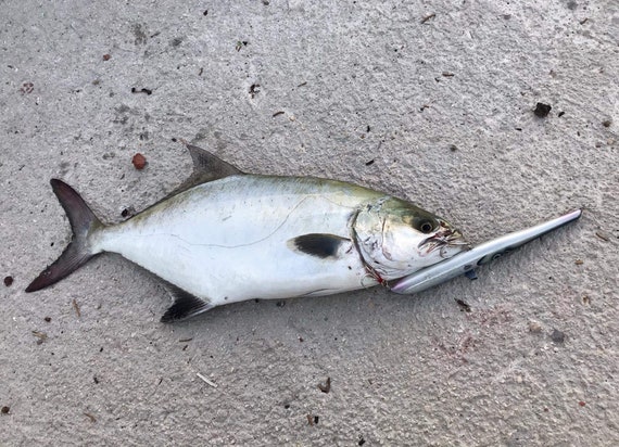 Spasm Needlefish Saltwater Fishing Lure Gray 15cm -  UK