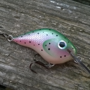 Rainbow Trout Light Fishing Lure 40mm
