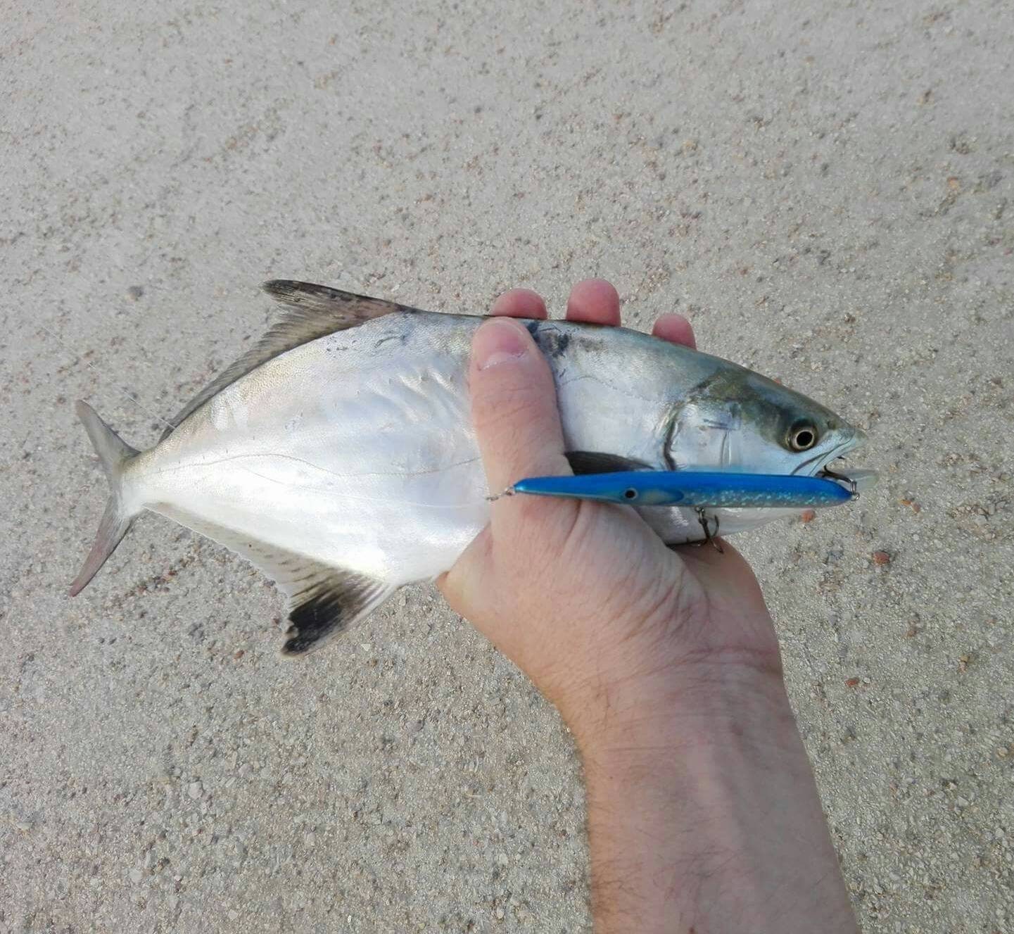 Saltwater Handmade Lure Needlefish Blue 10cm 4inch 