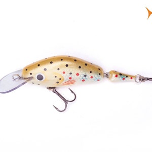 Handmade Fishing Lure, Crankbait Jointed Lure, Painted Wood Lure Arthrum 4 image 5