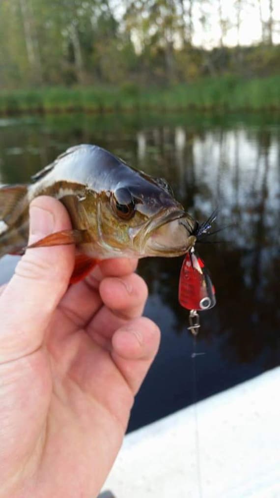 Nano Popper Ultra Light Fishing Lure Red Black Ladybug -  Hong