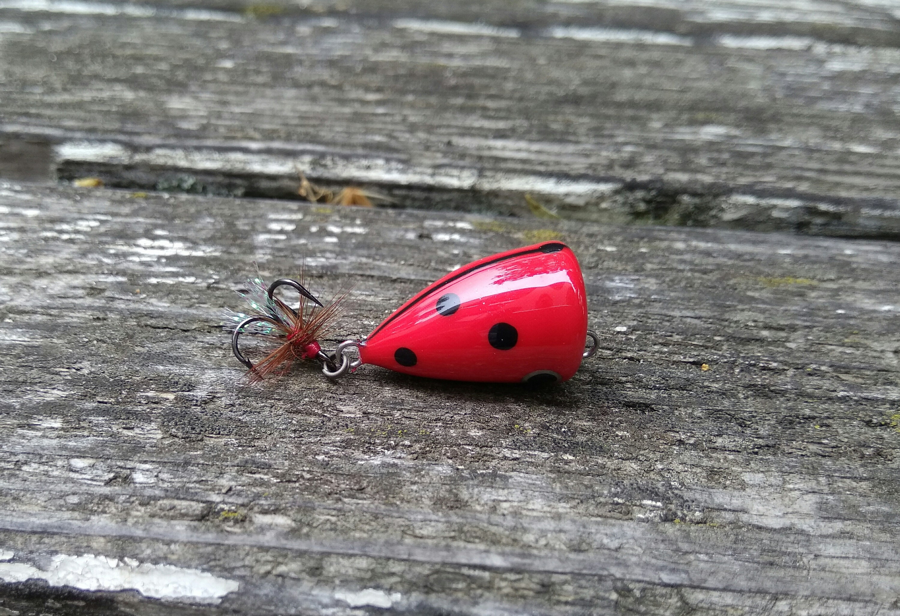 Nano Popper Ultra Light Fishing Lure Red Black Ladybug -  Canada