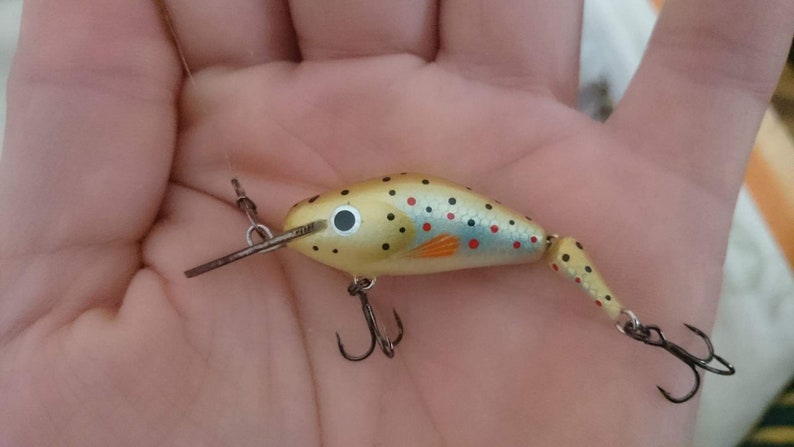 Handmade Fishing Lure, Crankbait Jointed Lure, Painted Wood Lure Arthrum 4 image 8