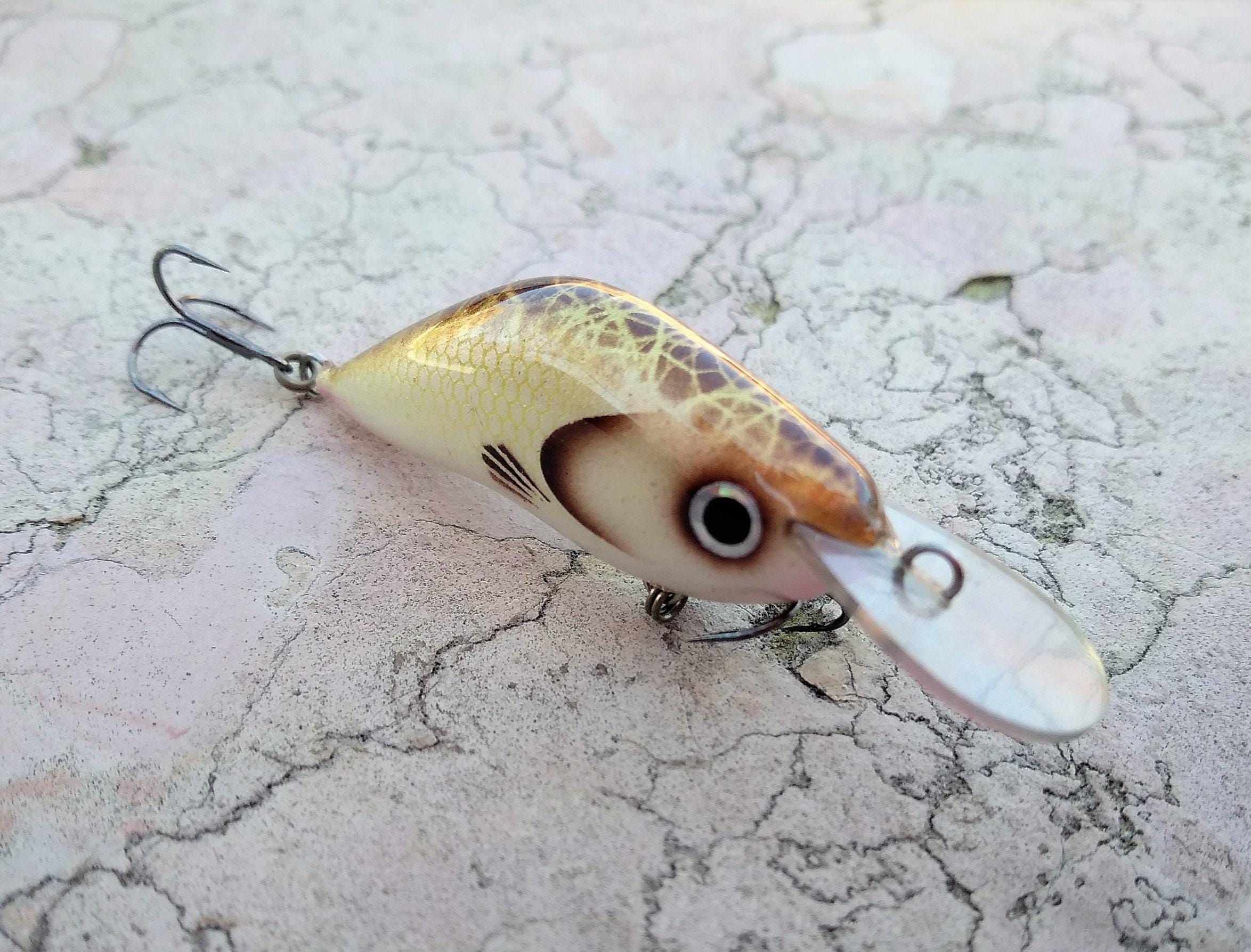 Avvolgilenza - Il Paradiso Del Pescatore - Foto 8