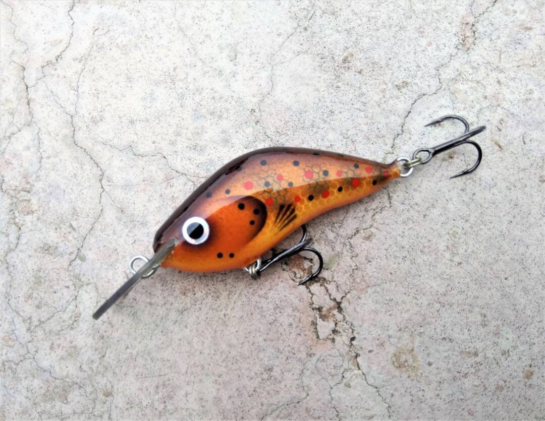 Custom Handmade Wooden Trout Fishing Lure Etsy