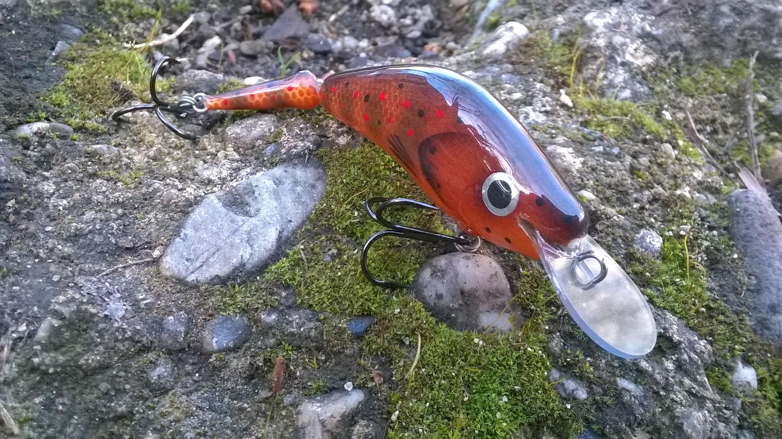 Leurre Rapala Original Floater F05 Truite Carnassier 5 Cm, leurres à truite