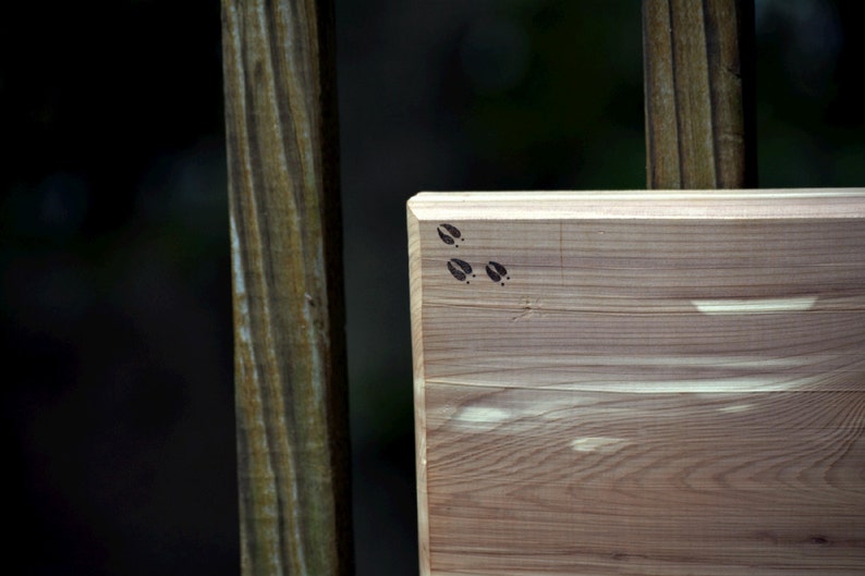 Wood Burned Cedar Cutting Board with Whitetail Buck