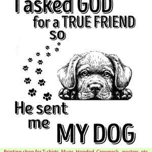 Ik vroeg God om een echte vriend, dus stuurde hij mij mijn hond