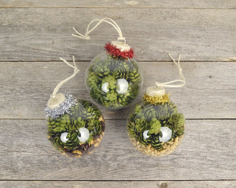 Fancy Black /& Tan Beer Ornament with Red Tinsel Barley and Hops Beer Christmas Ornament Beer Gifts Beer Stocking Stuffers Brown Ale