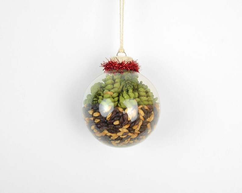 Fancy Black /& Tan Beer Ornament with Red Tinsel Barley and Hops Beer Christmas Ornament Beer Gifts Beer Stocking Stuffers Brown Ale