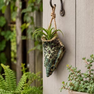 May include: A ceramic wall planter with a mottled green and brown glaze, shaped like a shell. It hangs from a dark metal hook by a thick jute rope. A small green air plant is nestled inside the opening of the planter, which is mounted on a wall.