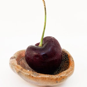 May include: A single, ripe, dark red cherry with a long green stem rests in a small, rustic, brown ceramic bowl. The bowl has a textured surface and a slightly irregular shape, suggesting a handmade quality. The background is plain white.