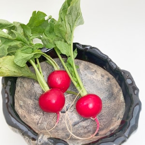 May include: Three red radishes with green leaves in a black and white ceramic bowl.